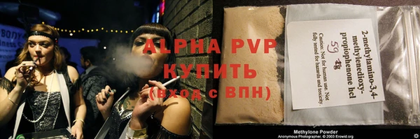 сатива Беломорск