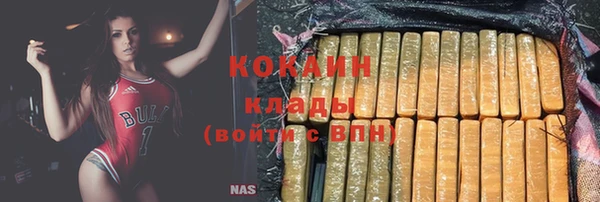 ПСИЛОЦИБИНОВЫЕ ГРИБЫ Белокуриха