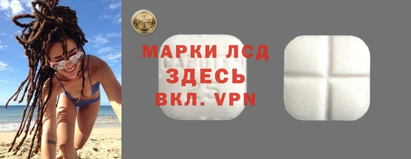 сатива Беломорск