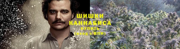 ПСИЛОЦИБИНОВЫЕ ГРИБЫ Белокуриха