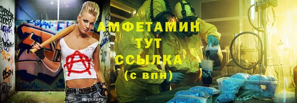 сатива Беломорск
