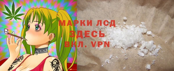 сатива Беломорск
