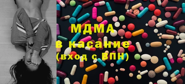 сатива Беломорск