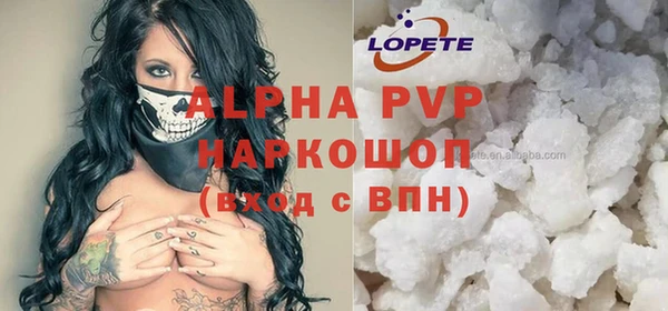 ПСИЛОЦИБИНОВЫЕ ГРИБЫ Белокуриха