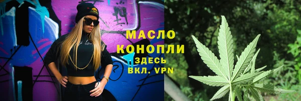 сатива Беломорск